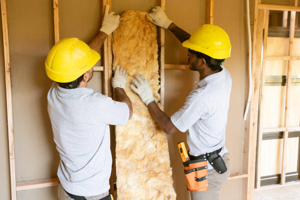 Insulation Air Sealing in Freeburg, IL